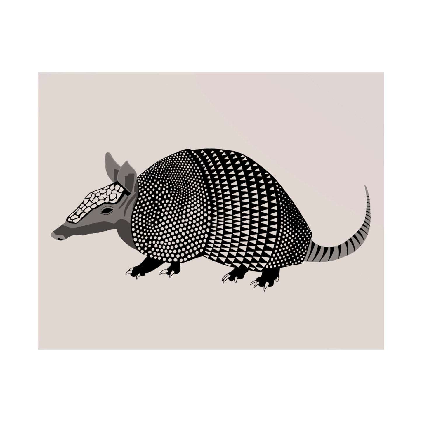 Hypnotizing Armadillo