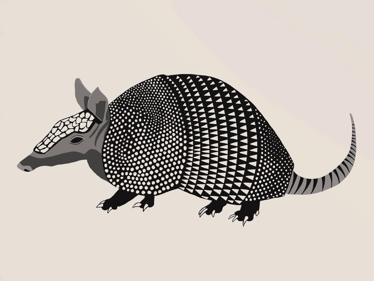 Hypnotizing Armadillo